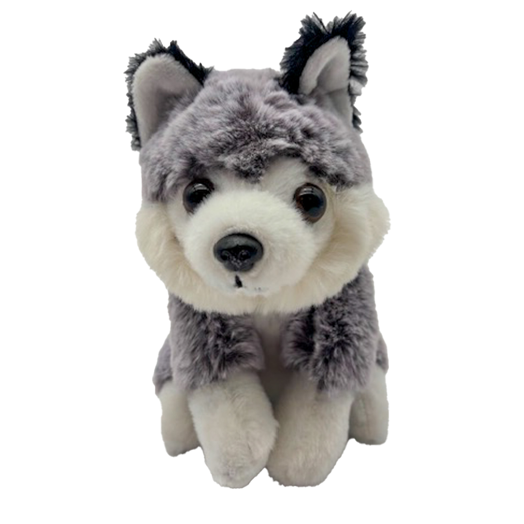 Husky Hond