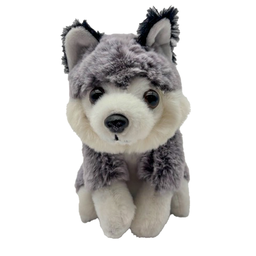 Husky Hond