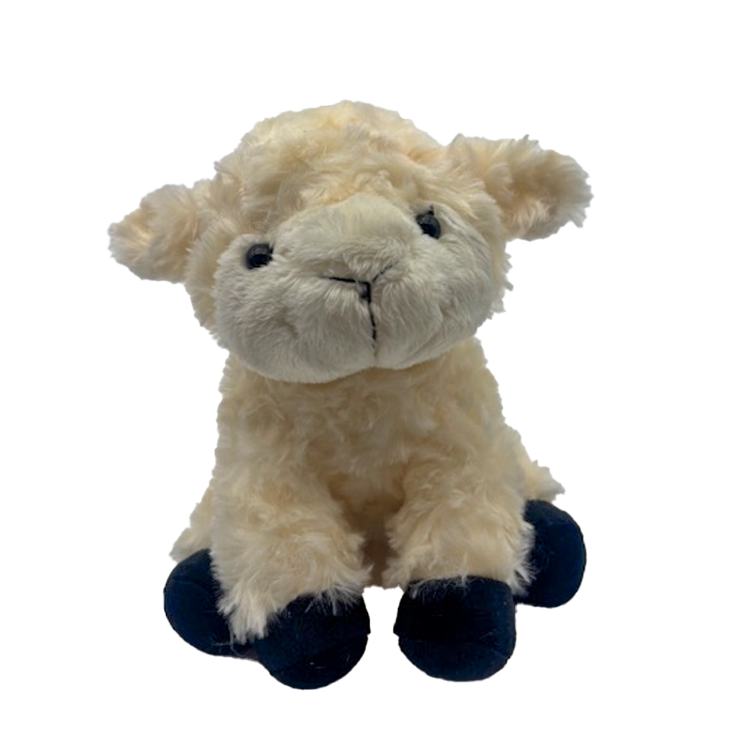 Schaap