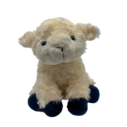 Schaap