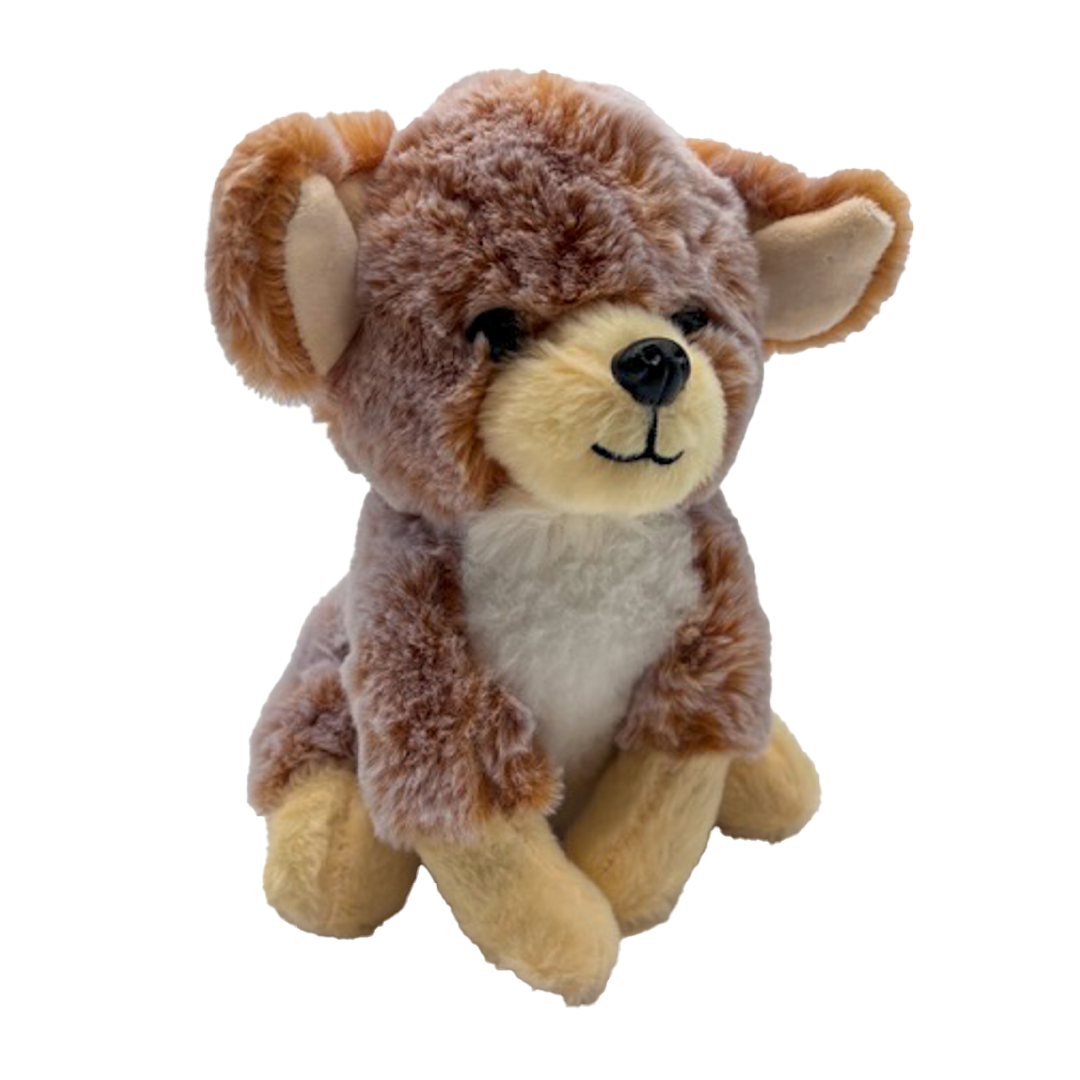 Hond Labrador