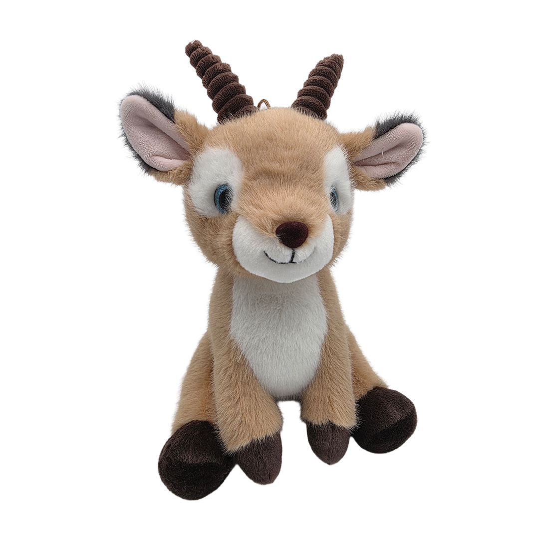 Steenbok