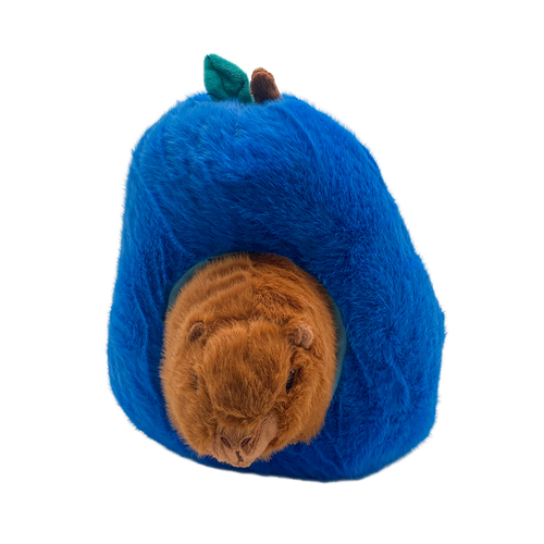 Capybara