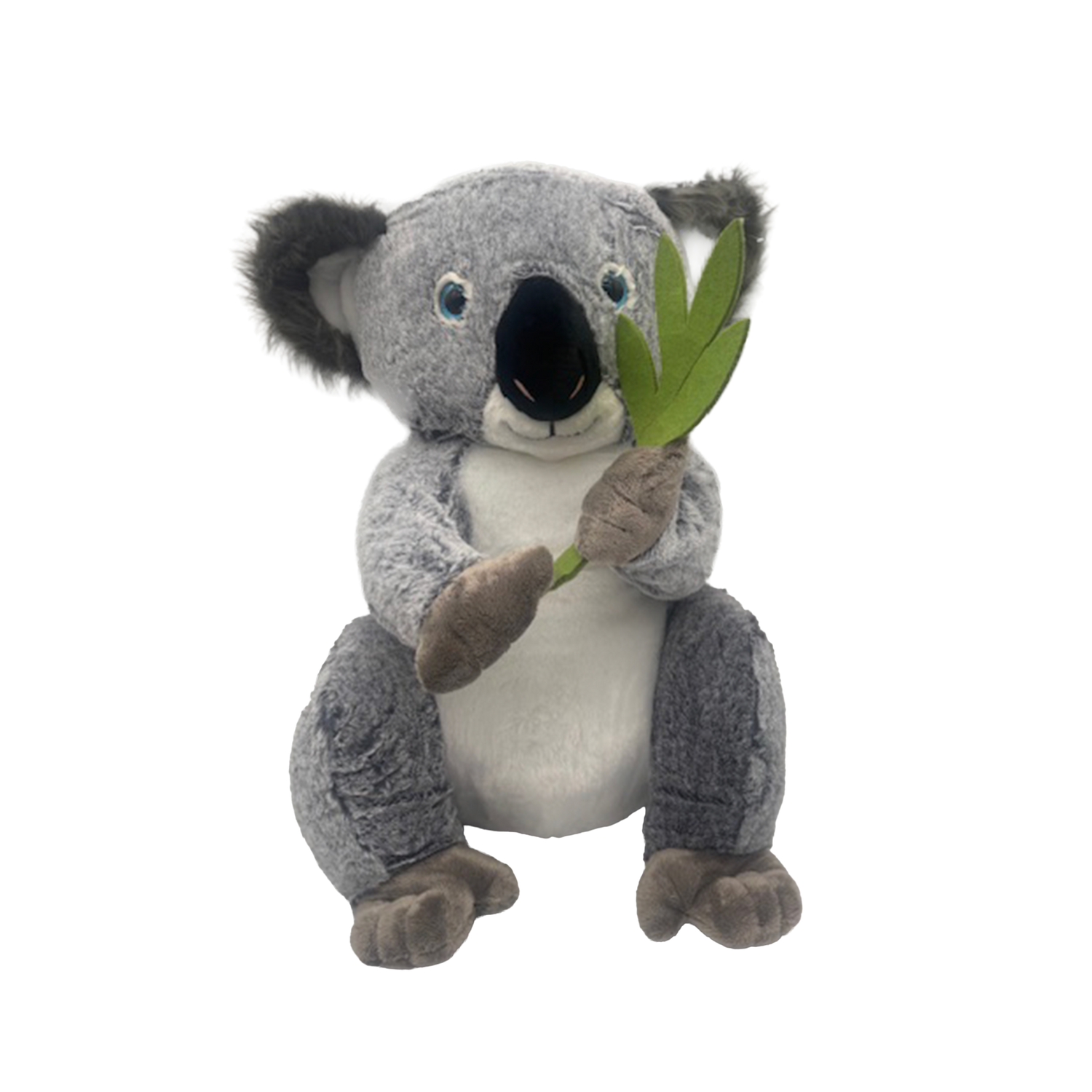 Koala met blad