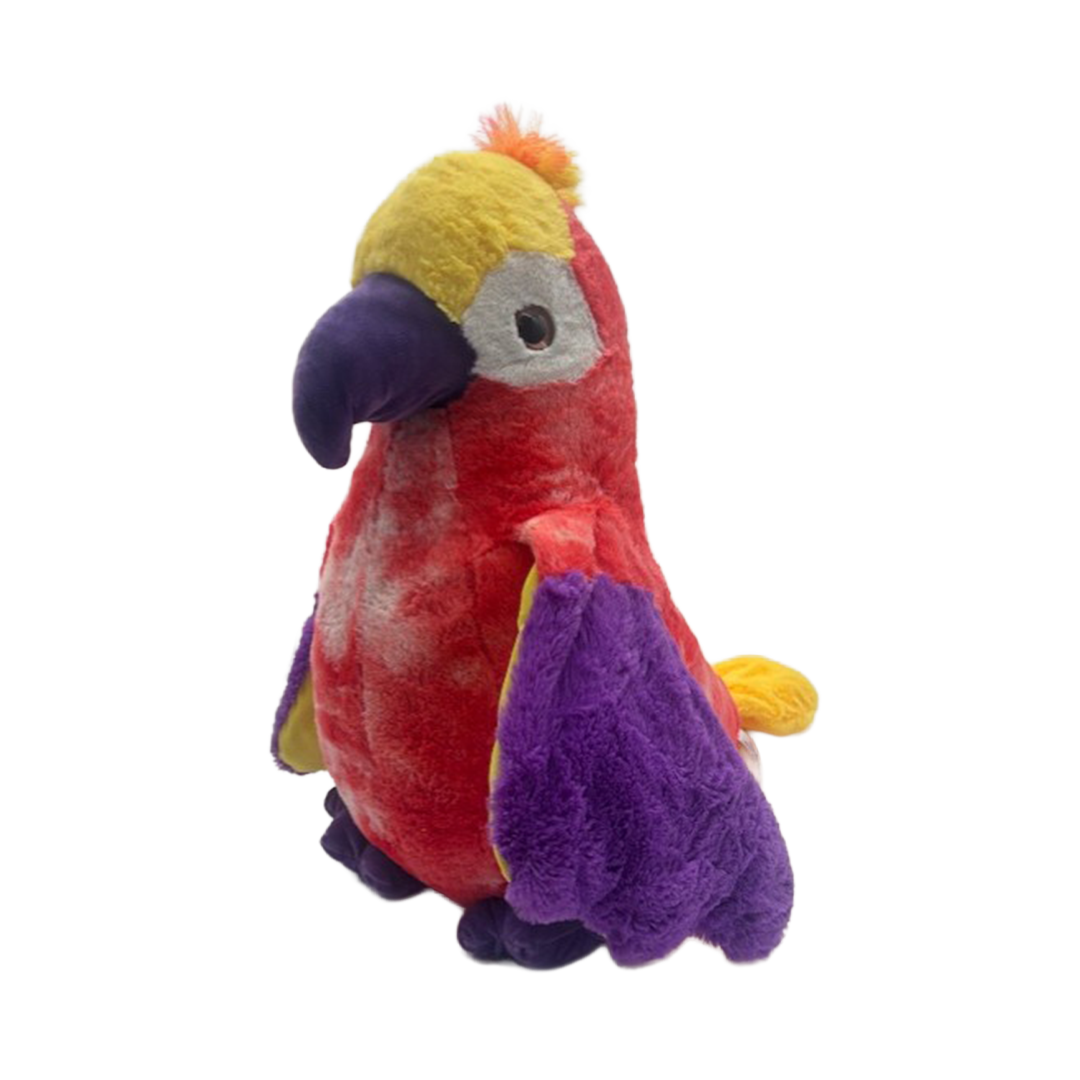 Papegaai